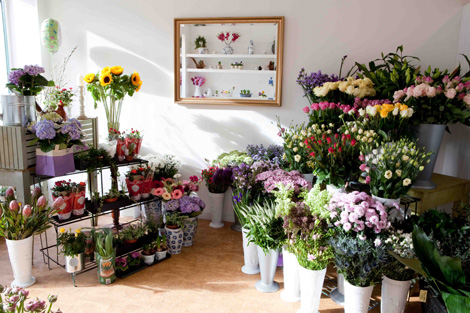 Flowers Shop on Flower Shop